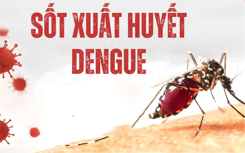 Sốt xuất huyết