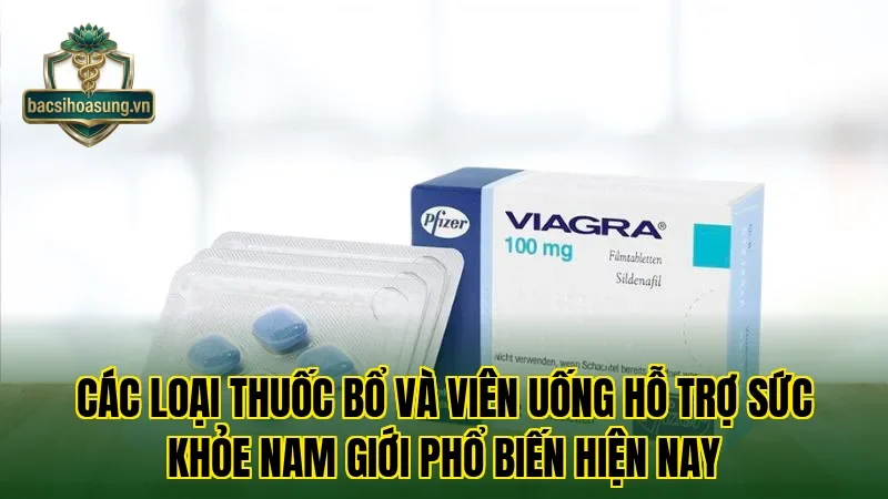 Các loại thuốc bổ và viên uống hỗ trợ sức khỏe nam giới phổ biến hiện nay