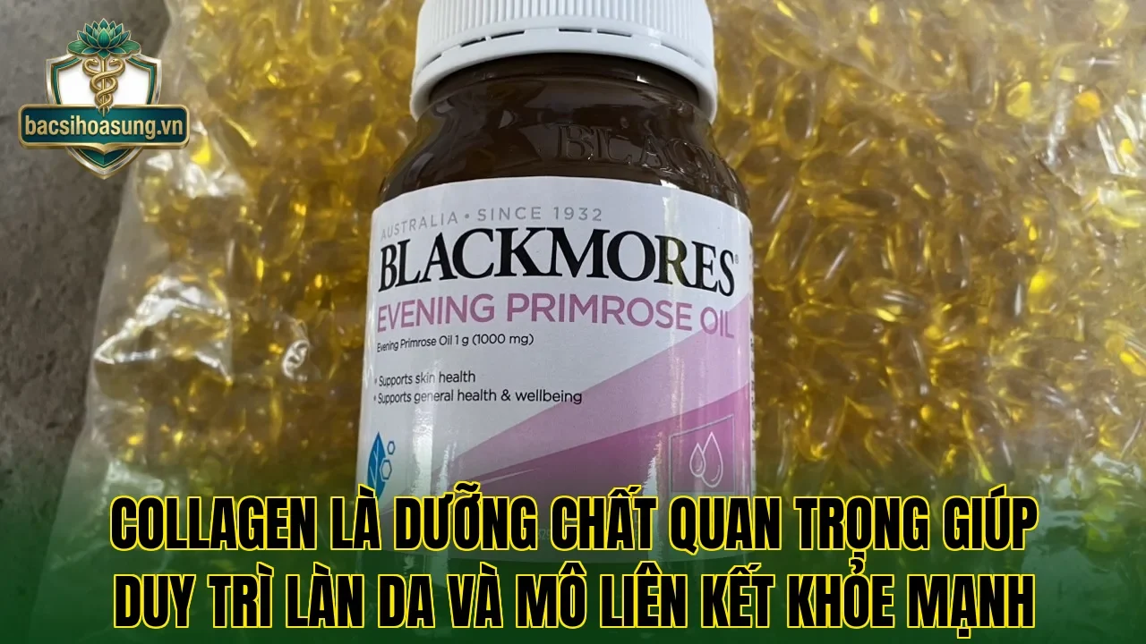Collagen là dưỡng chất quan trọng giúp duy trì làn da và mô liên kết khỏe mạnh