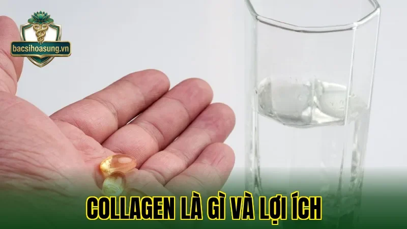 Collagen Là Gì Và Lợi Ích