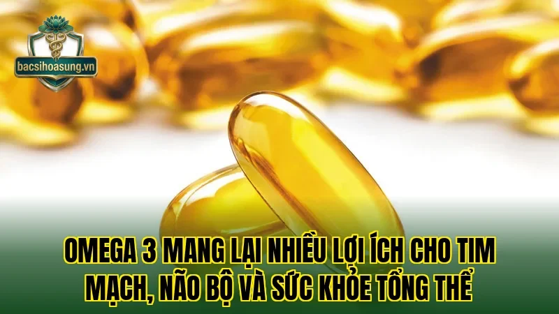 Omega 3 mang lại nhiều lợi ích cho tim mạch, não bộ và sức khỏe tổng thể