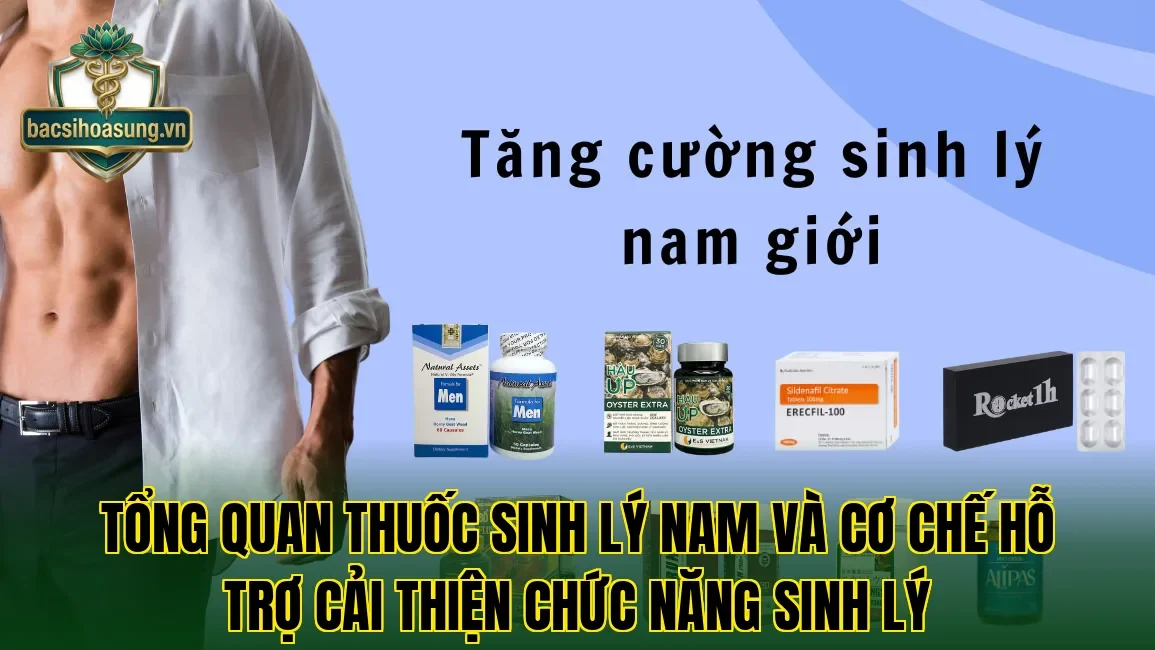 Tổng quan thuốc sinh lý nam và cơ chế hỗ trợ cải thiện chức năng sinh lý