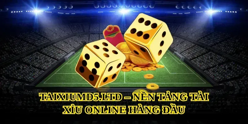 Taixiumd5.ltd – Nền Tảng Tài Xỉu Online Hàng Đầu