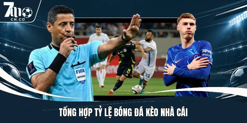Tổng hợp tỷ lệ bóng đá kèo nhà cái